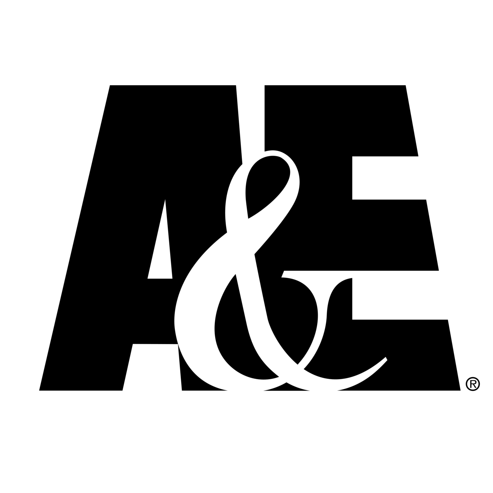 a-e-television-logo-png-transparent.png